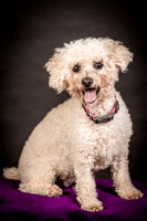 Foster Mae-8942