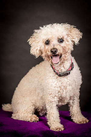 Foster Mae-8942