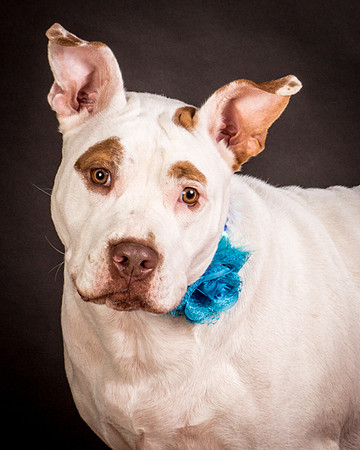 Foster Joanie-0462