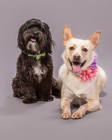 Maggie and Henry-7340