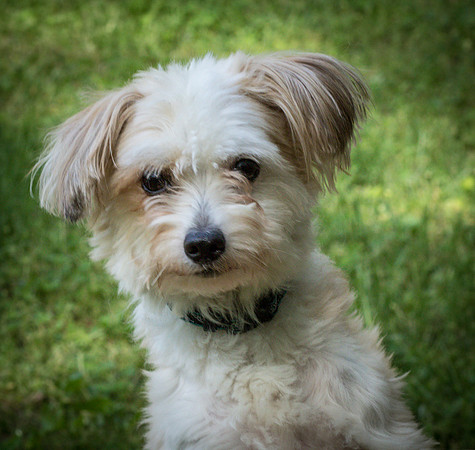 Foster Ricardo-8733