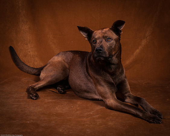 Cinna-9754