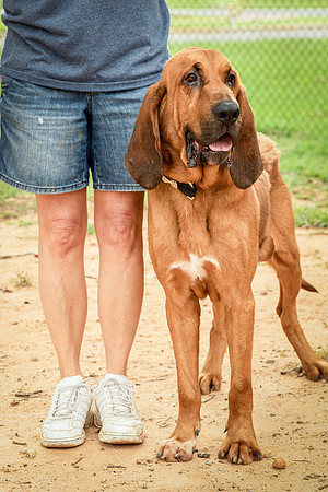 Roscoe-0444
