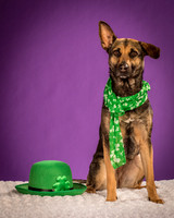 Izzy-2182