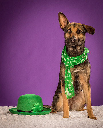 Izzy-2182