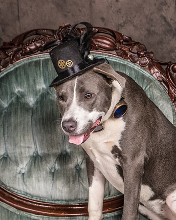 Foster Juliana-8053
