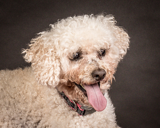 Foster Mae-8996