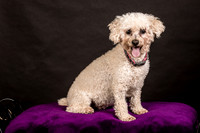 Foster Mae-8948