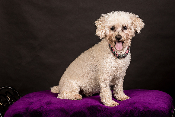 Foster Mae-8948