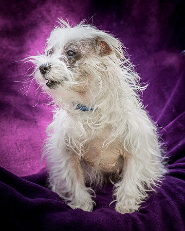 Foster Zuzu-6406