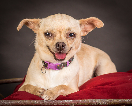 Foster Brielle-0111