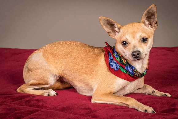 Foster Rosanna-3788