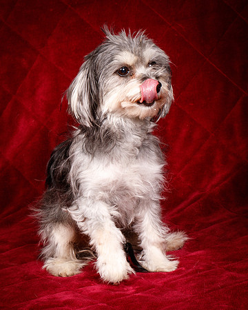 Foster Alex-6320