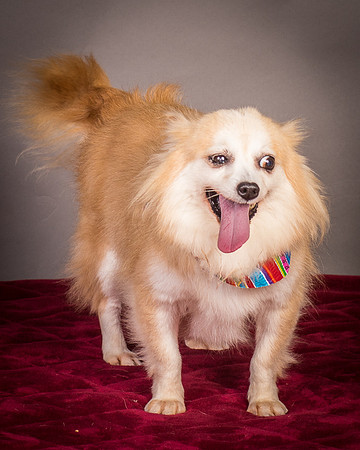 Foster Lilly-3334