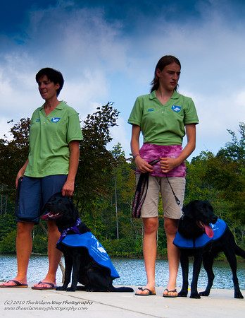 Guide Puppies (6 of 191)
