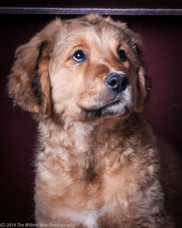 Mocha-8073