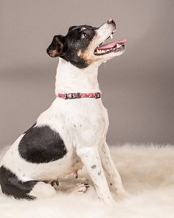 Foster Pollyanna-3917