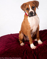 Foster Lenny-3012