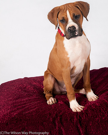 Foster Lenny-3012