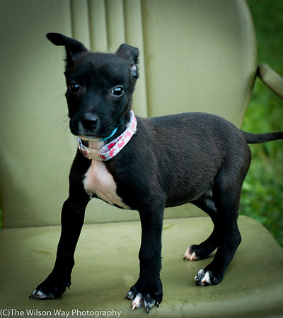 Foster Beryl-3792