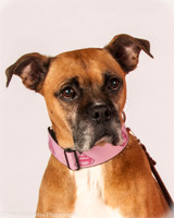 Molly Rushing-2985-2