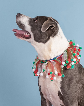 Foster Juliana-8091