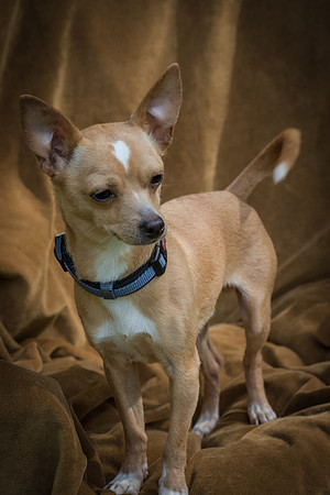 Foster Tony-8830