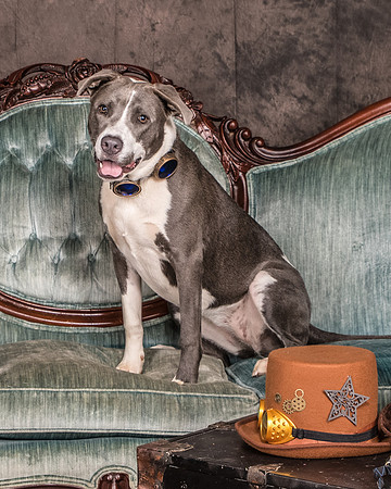 Foster Juliana-8042