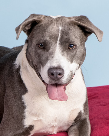 Foster Juliana-8115