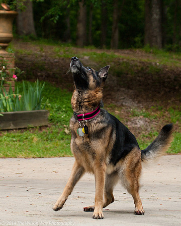 Gretchen-6547