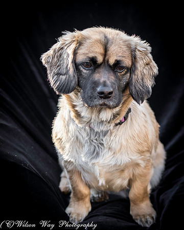 Foster Trudy-18
