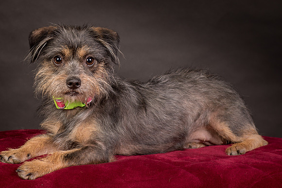 Foster Nadine-9605