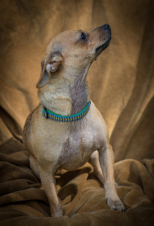 Foster Naomi-8863