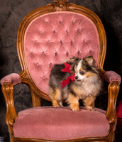 Foster Gabe-4397