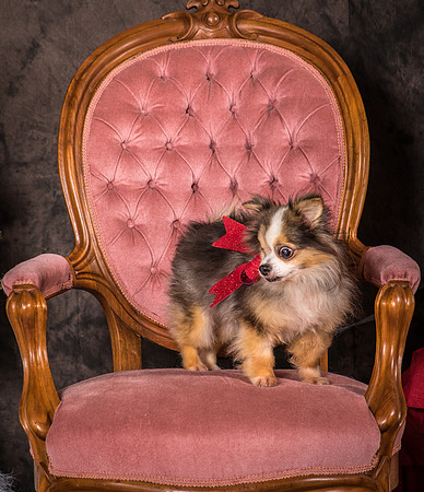 Foster Gabe-4397