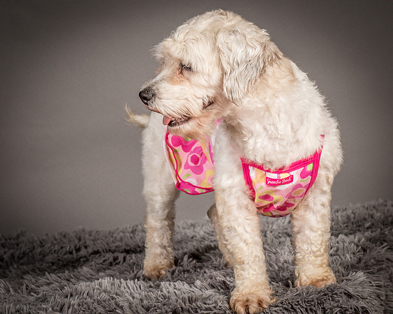 Foster Everly-2260