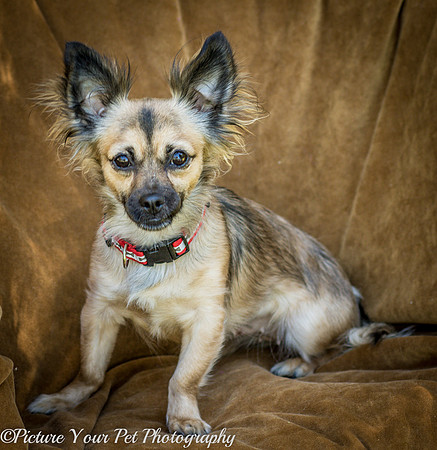 Foster Delphine-6422