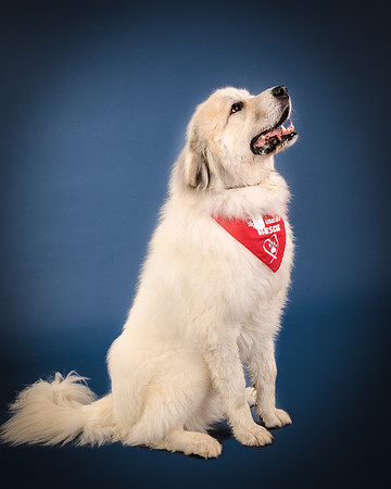 Foster Thor-3837
