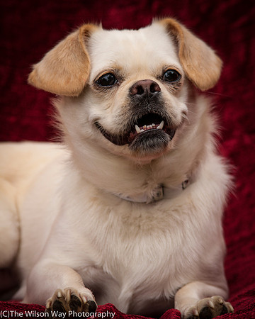 Foster Bonnie-3278