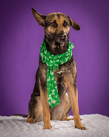Izzy-2177