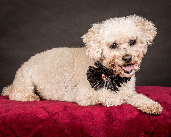 Foster Mae-9084