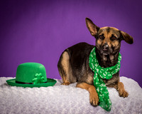 Izzy-2204