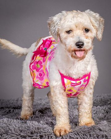 Foster Everly-2258