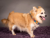 Foster Lilly-3243