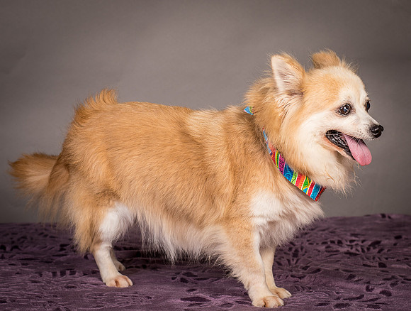 Foster Lilly-3243