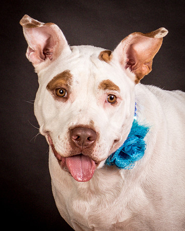 Foster Joanie-0467