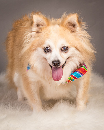 Foster Lilly-3403
