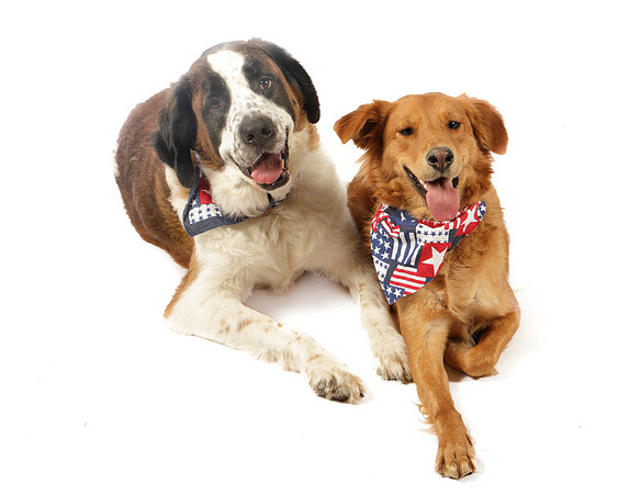 Ollie and Heidi-8299