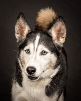 Bella-2442