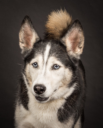 Bella-2442